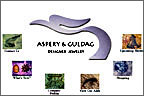 aspery & guldag